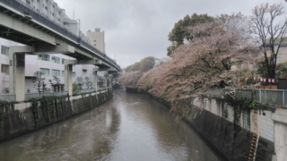 Thumbnail of post image 054