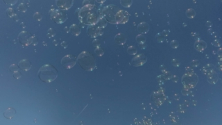 Thumbnail of post image 070