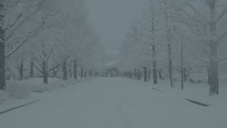 Thumbnail of post image 091