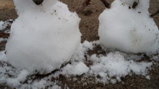 Thumbnail of post image 177