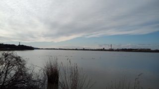 Thumbnail of post image 186