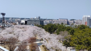 Thumbnail of post image 198