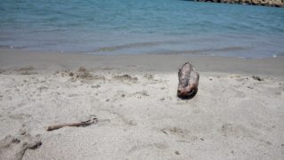 Thumbnail of post image 011