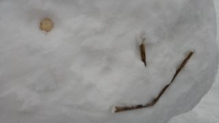 Thumbnail of post image 024