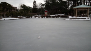 Thumbnail of post image 099