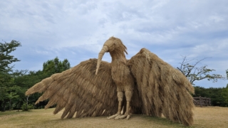 Thumbnail of post image 168