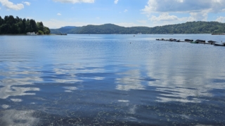 Thumbnail of post image 161