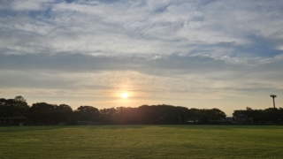 Thumbnail of post image 033