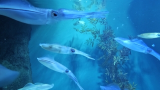 Thumbnail of post image 091