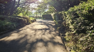 Thumbnail of post image 191