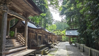 Thumbnail of post image 000