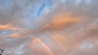 Thumbnail of post image 050