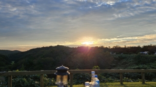 Thumbnail of post image 194