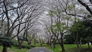 Thumbnail of post image 017