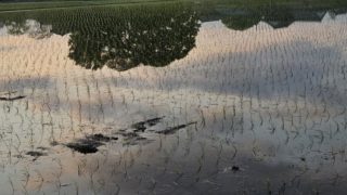 Thumbnail of post image 107