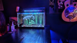 Thumbnail of post image 133