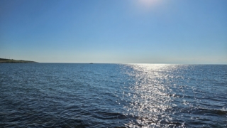 Thumbnail of post image 051