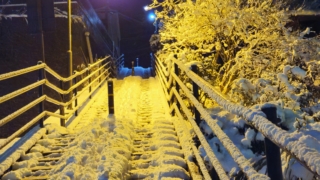 Thumbnail of post image 150