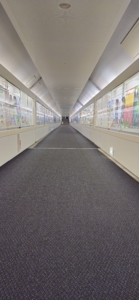 Thumbnail of post image 159